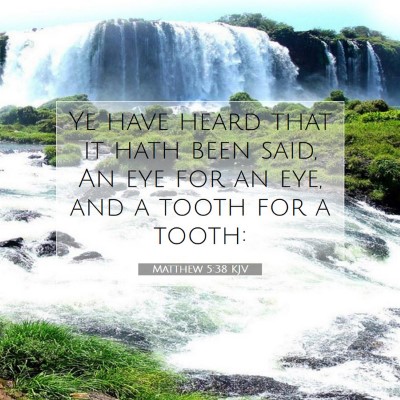 Picture 07 - Matthew 5:38 KJV - Ye have heard that it hath been said, An eye for - Bible Verse Picture