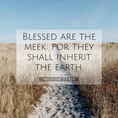 Picture 07 - Matthew 5:5 KJV - Blessed are the meek: for they shall inherit the - Bible Verse Picture