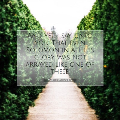 Picture 07 - Matthew 6:29 KJV - And yet I say unto you, That even Solomon in all - Bible Verse Picture