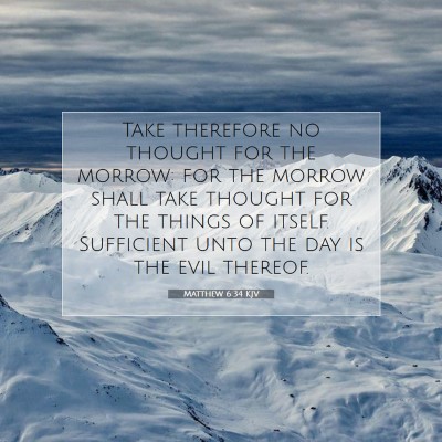 Picture 07 - Matthew 6:34 KJV - Take therefore no thought for the morrow: for the - Bible Verse Picture