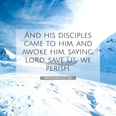 Picture 07 - Matthew 8:25 KJV - And his disciples came to him, and awoke him, - Bible Verse Picture