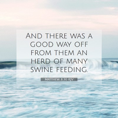 Picture 07 - Matthew 8:30 KJV - And there was a good way off from them an herd of - Bible Verse Picture