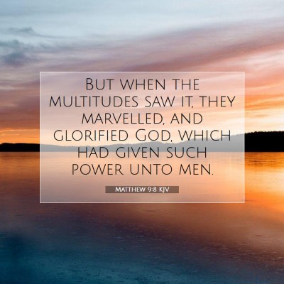 Picture 07 - Matthew 9:8 KJV - But when the multitudes saw it, they marvelled, - Bible Verse Picture