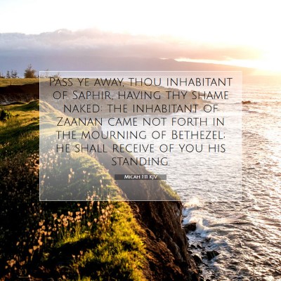 Picture 07 - Micah 1:11 KJV - Pass ye away, thou inhabitant of Saphir, having - Bible Verse Picture