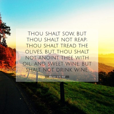 Picture 07 - Micah 6:15 KJV - Thou shalt sow, but thou shalt not reap; thou - Bible Verse Picture