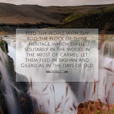 Picture 07 - Micah 7:14 KJV - Feed thy people with thy rod, the flock of thine - Bible Verse Picture