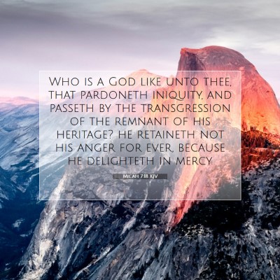 Picture 07 - Micah 7:18 KJV - Who is a God like unto thee, that pardoneth - Bible Verse Picture