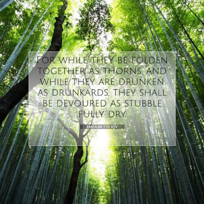 Picture 07 - Nahum 1:10 KJV - For while they be folden together as thorns, and - Bible Verse Picture
