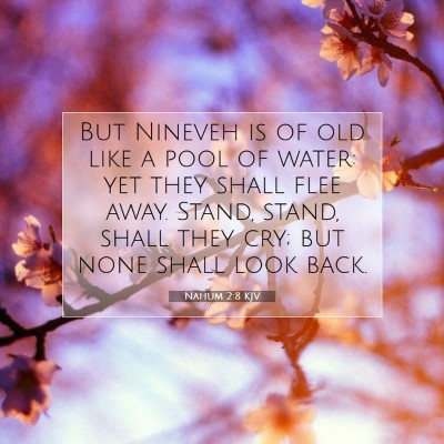 Picture 07 - Nahum 2:8 KJV - But Nineveh is of old like a pool of water: yet - Bible Verse Picture