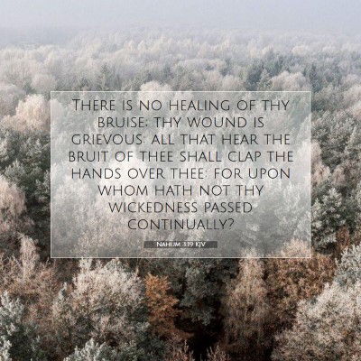 Picture 07 - Nahum 3:19 KJV - There is no healing of thy bruise; thy wound is - Bible Verse Picture