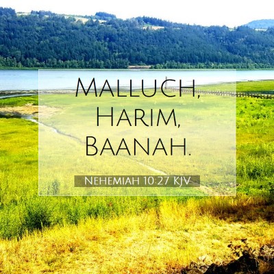 Picture 07 - Nehemiah 10:27 KJV - Malluch, Harim, - Bible Verse Picture