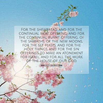 Picture 07 - Nehemiah 10:33 KJV - For the shewbread, and for the continual meat - Bible Verse Picture