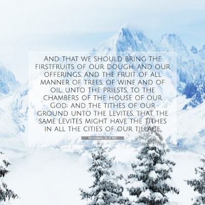 Picture 07 - Nehemiah 10:37 KJV - And that we should bring the firstfruits of our - Bible Verse Picture