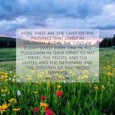 Picture 07 - Nehemiah 11:3 KJV - Now these are the chief of the province that - Bible Verse Picture