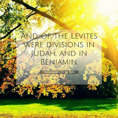 Picture 07 - Nehemiah 11:36 KJV - And of the Levites were divisions in Judah, and - Bible Verse Picture