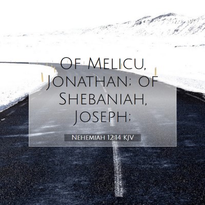 Picture 07 - Nehemiah 12:14 KJV - Of Melicu, Jonathan; of Shebaniah, - Bible Verse Picture
