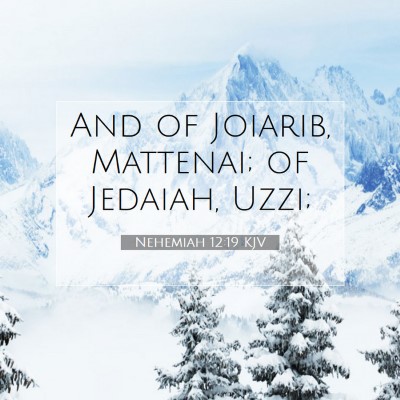 Picture 07 - Nehemiah 12:19 KJV - And of Joiarib, Mattenai; of Jedaiah, - Bible Verse Picture