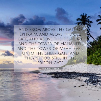 Picture 07 - Nehemiah 12:39 KJV - And from above the gate of Ephraim, and above the - Bible Verse Picture