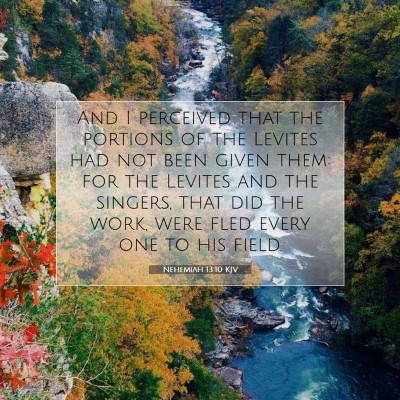 Picture 07 - Nehemiah 13:10 KJV - And I perceived that the portions of the Levites - Bible Verse Picture
