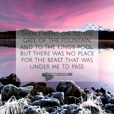 Picture 07 - Nehemiah 2:14 KJV - Then I went on to the gate of the fountain, and - Bible Verse Picture