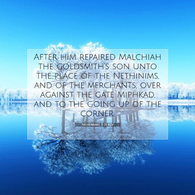 Picture 07 - Nehemiah 3:31 KJV - After him repaired Malchiah the goldsmith's son - Bible Verse Picture