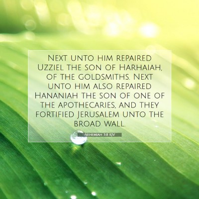 Picture 07 - Nehemiah 3:8 KJV - Next unto him repaired Uzziel the son of - Bible Verse Picture