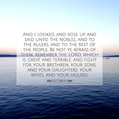 Picture 07 - Nehemiah 4:14 KJV - And I looked, and rose up, and said unto the - Bible Verse Picture