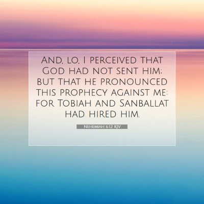 Picture 07 - Nehemiah 6:12 KJV - And, lo, I perceived that God had not sent him; - Bible Verse Picture