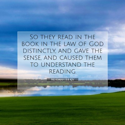 Picture 07 - Nehemiah 8:8 KJV - So they read in the book in the law of God - Bible Verse Picture