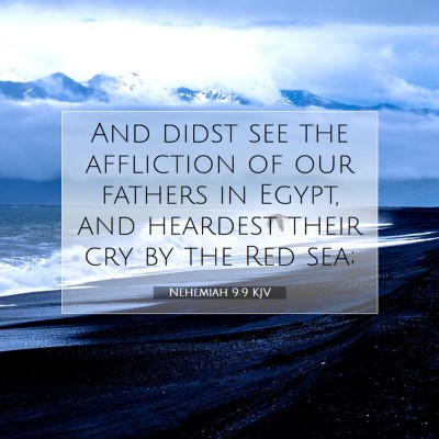 Picture 07 - Nehemiah 9:9 KJV - And didst see the affliction of our fathers in - Bible Verse Picture