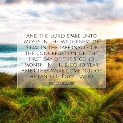 Picture 07 - Numbers 1:1 KJV - And the LORD spake unto Moses in the wilderness - Bible Verse Picture