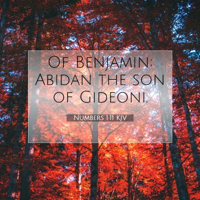 Picture 07 - Numbers 1:11 KJV - Of Benjamin; Abidan the son of - Bible Verse Picture