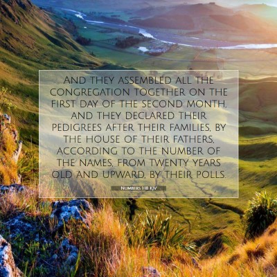 Picture 07 - Numbers 1:18 KJV - And they assembled all the congregation together - Bible Verse Picture