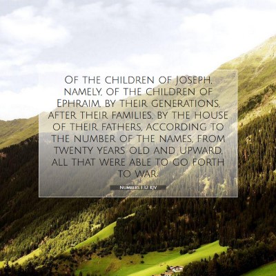 Picture 07 - Numbers 1:32 KJV - Of the children of Joseph, namely, of the - Bible Verse Picture