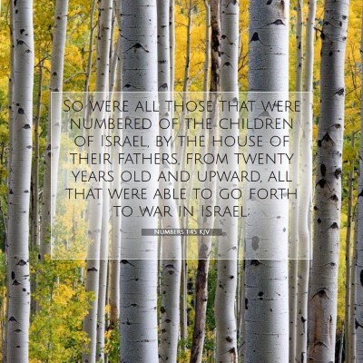 Picture 07 - Numbers 1:45 KJV - So were all those that were numbered of the - Bible Verse Picture