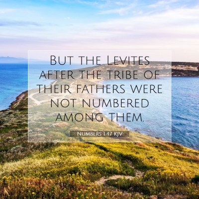 Picture 07 - Numbers 1:47 KJV - But the Levites after the tribe of their fathers - Bible Verse Picture