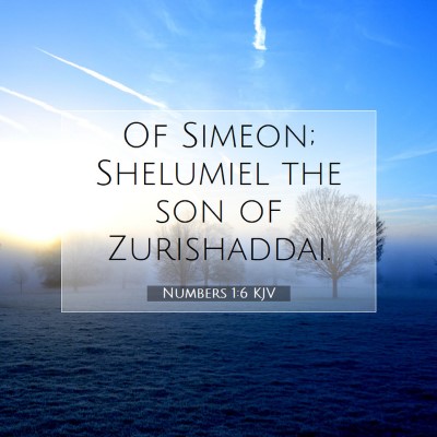 Picture 07 - Numbers 1:6 KJV - Of Simeon; Shelumiel the son of - Bible Verse Picture