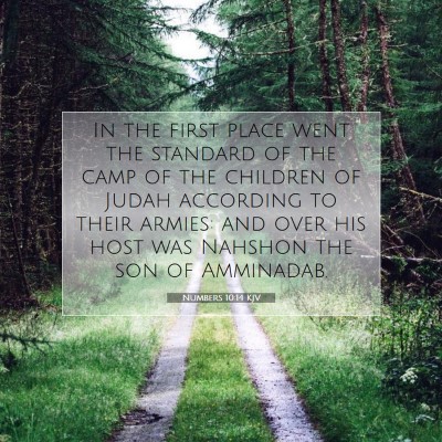 Picture 07 - Numbers 10:14 KJV - In the first place went the standard of the camp - Bible Verse Picture