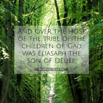Picture 07 - Numbers 10:20 KJV - And over the host of the tribe of the children of - Bible Verse Picture