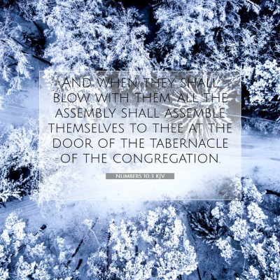 Picture 07 - Numbers 10:3 KJV - And when they shall blow with them, all the - Bible Verse Picture