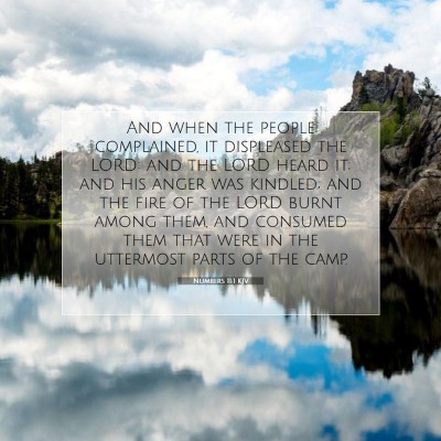 Picture 07 - Numbers 11:1 KJV - And when the people complained, it displeased the - Bible Verse Picture