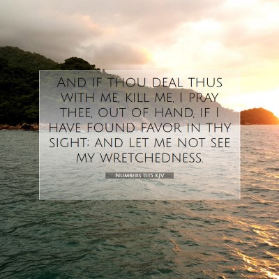 Picture 07 - Numbers 11:15 KJV - And if thou deal thus with me, kill me, I pray - Bible Verse Picture