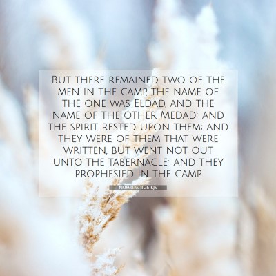 Picture 07 - Numbers 11:26 KJV - But there remained two of the men in the camp, - Bible Verse Picture