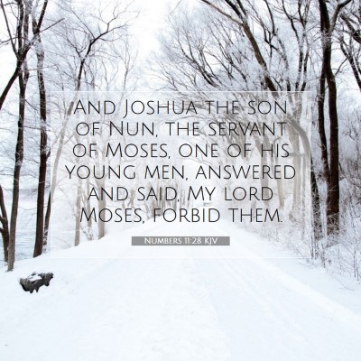Picture 07 - Numbers 11:28 KJV - And Joshua the son of Nun, the servant of Moses, - Bible Verse Picture