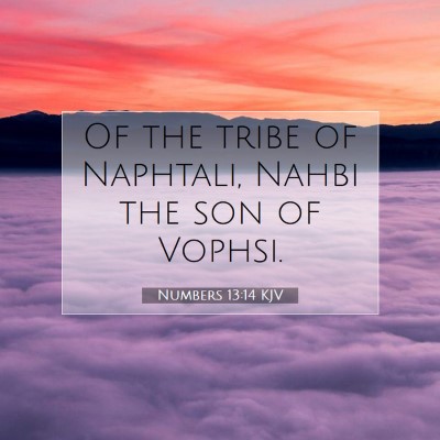 Picture 07 - Numbers 13:14 KJV - Of the tribe of Naphtali, Nahbi the son of - Bible Verse Picture