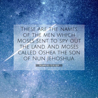 Picture 07 - Numbers 13:16 KJV - These are the names of the men which Moses sent - Bible Verse Picture