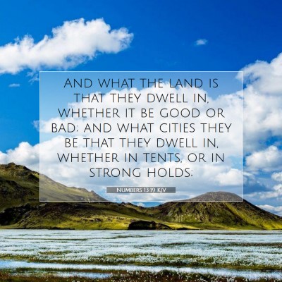 Picture 07 - Numbers 13:19 KJV - And what the land is that they dwell in, whether - Bible Verse Picture