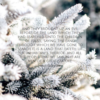 Picture 07 - Numbers 13:32 KJV - And they brought up an evil report of the land - Bible Verse Picture