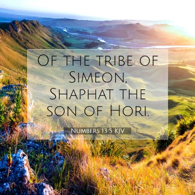 Picture 07 - Numbers 13:5 KJV - Of the tribe of Simeon, Shaphat the son of - Bible Verse Picture