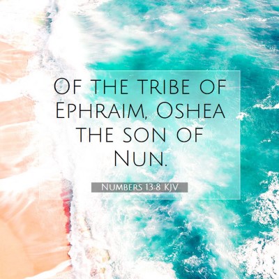 Picture 07 - Numbers 13:8 KJV - Of the tribe of Ephraim, Oshea the son of - Bible Verse Picture